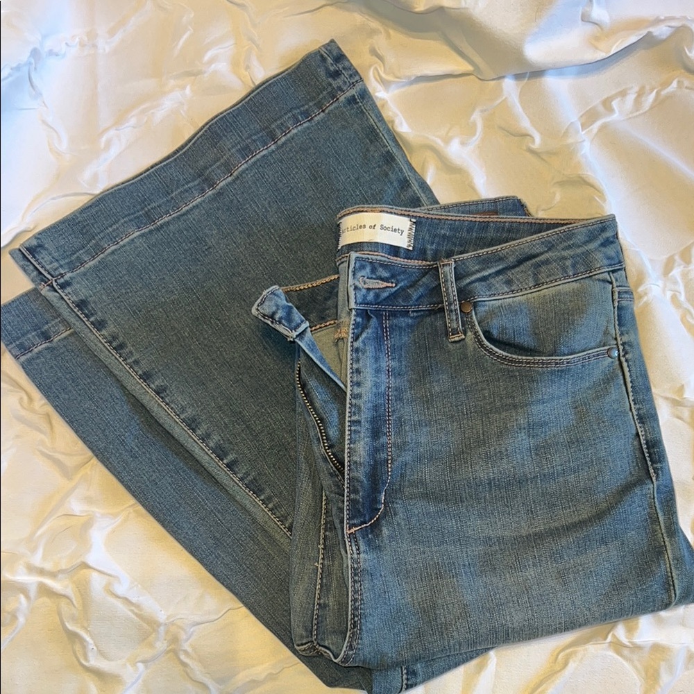 Articles of Society Blue Women's Jeans